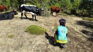 Comunitaria Patricia Carmona con las vacas en Los Calares del río Mundo